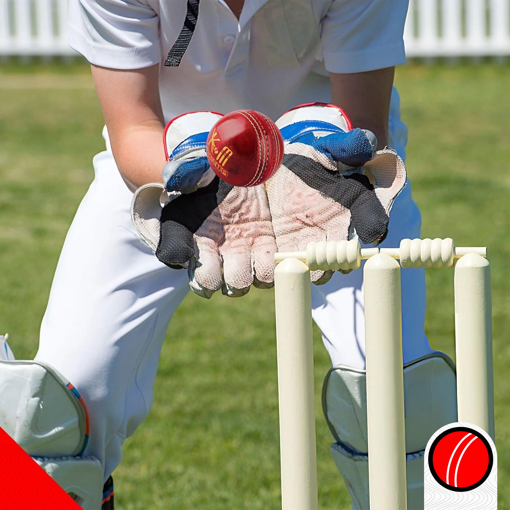 Red Hard ball or leather ball