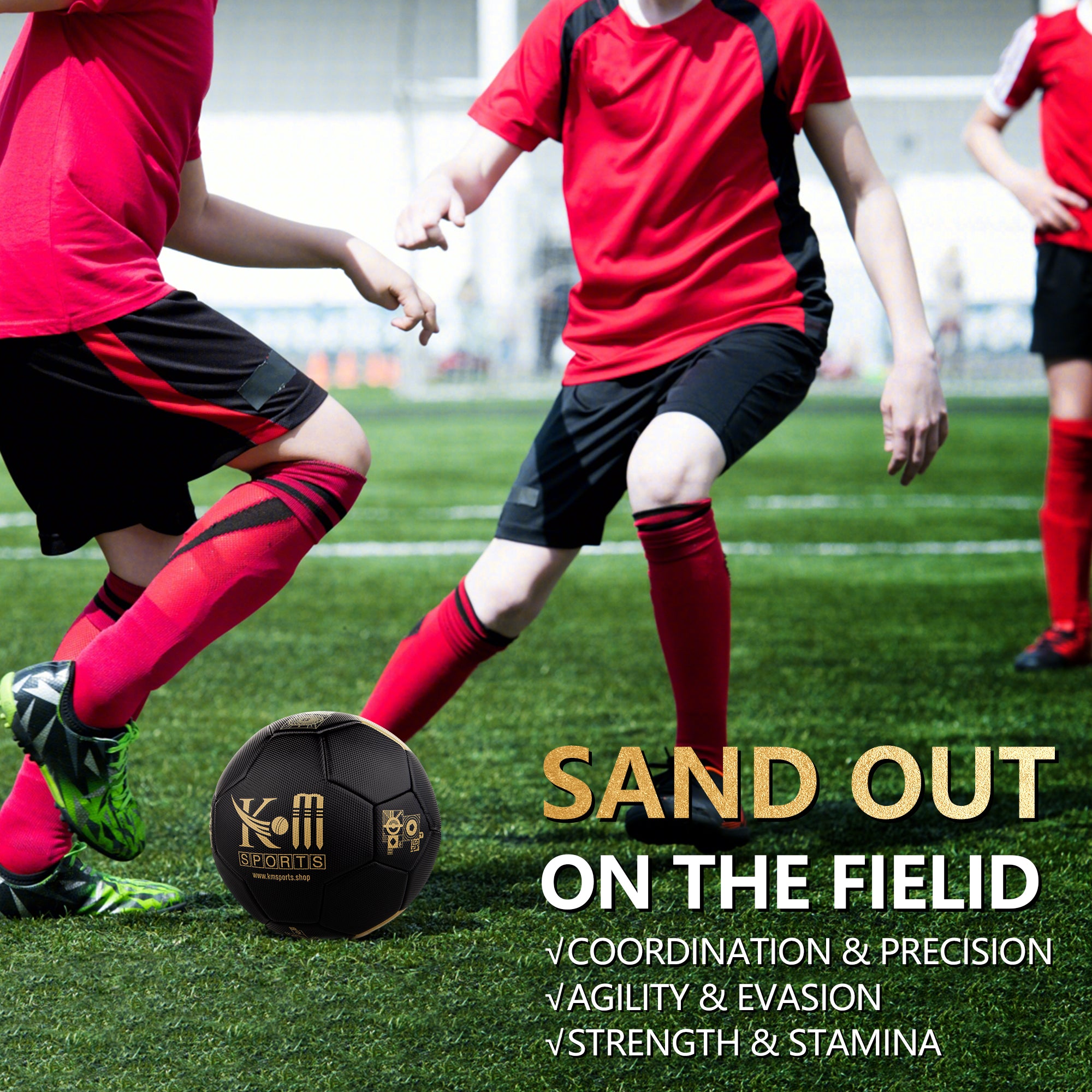 soccer ball or football with air pump