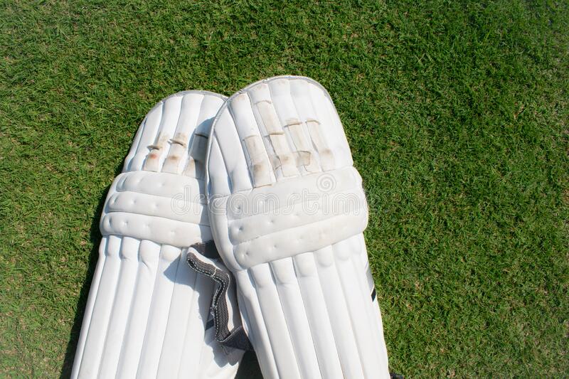 cricket pads