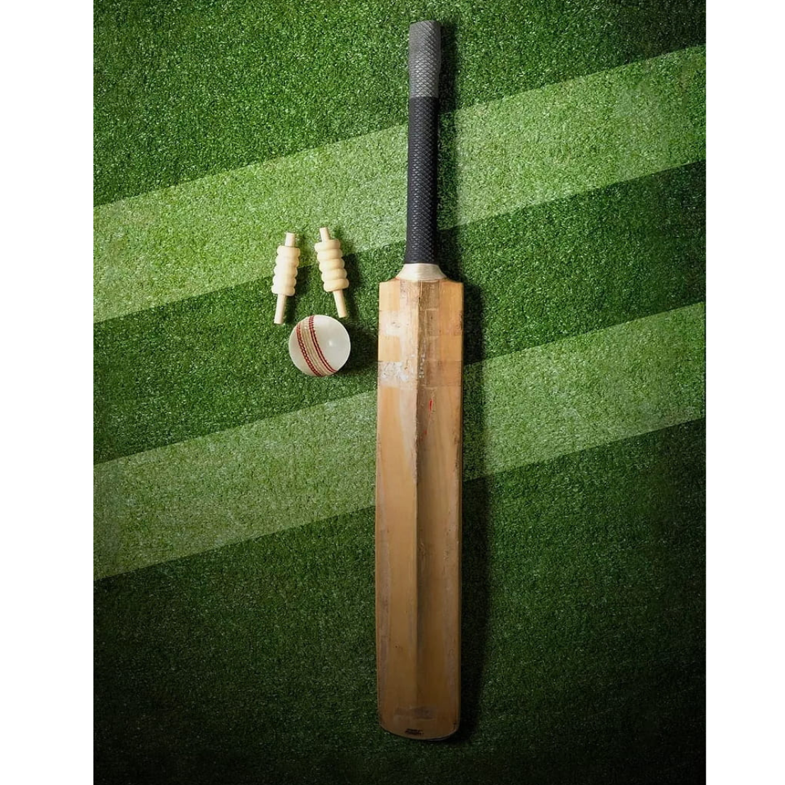 cricket bat