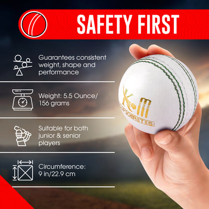 156g white cricket ball for day-night games – Buy in UAE