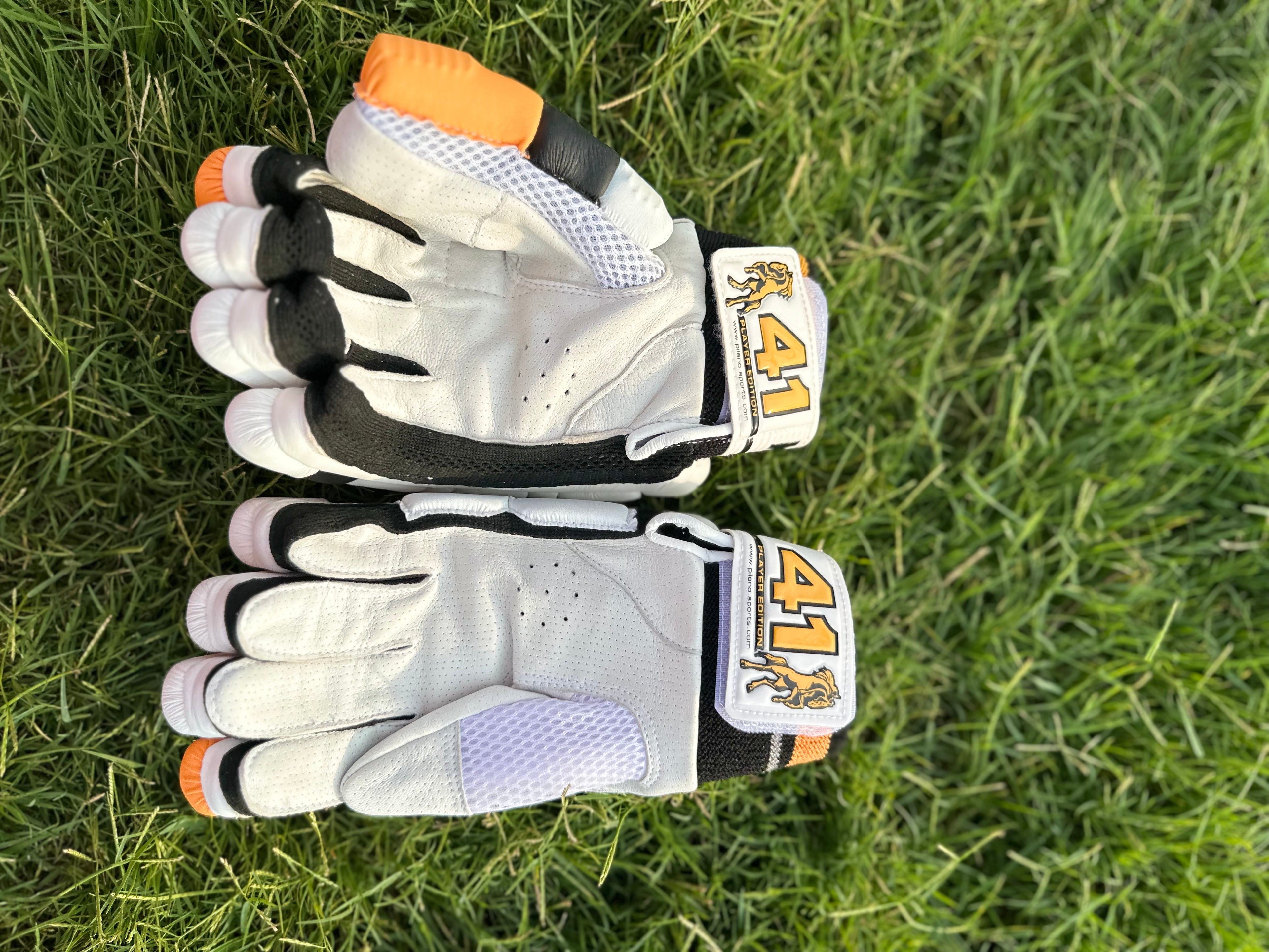 Cricket Batting Gloves