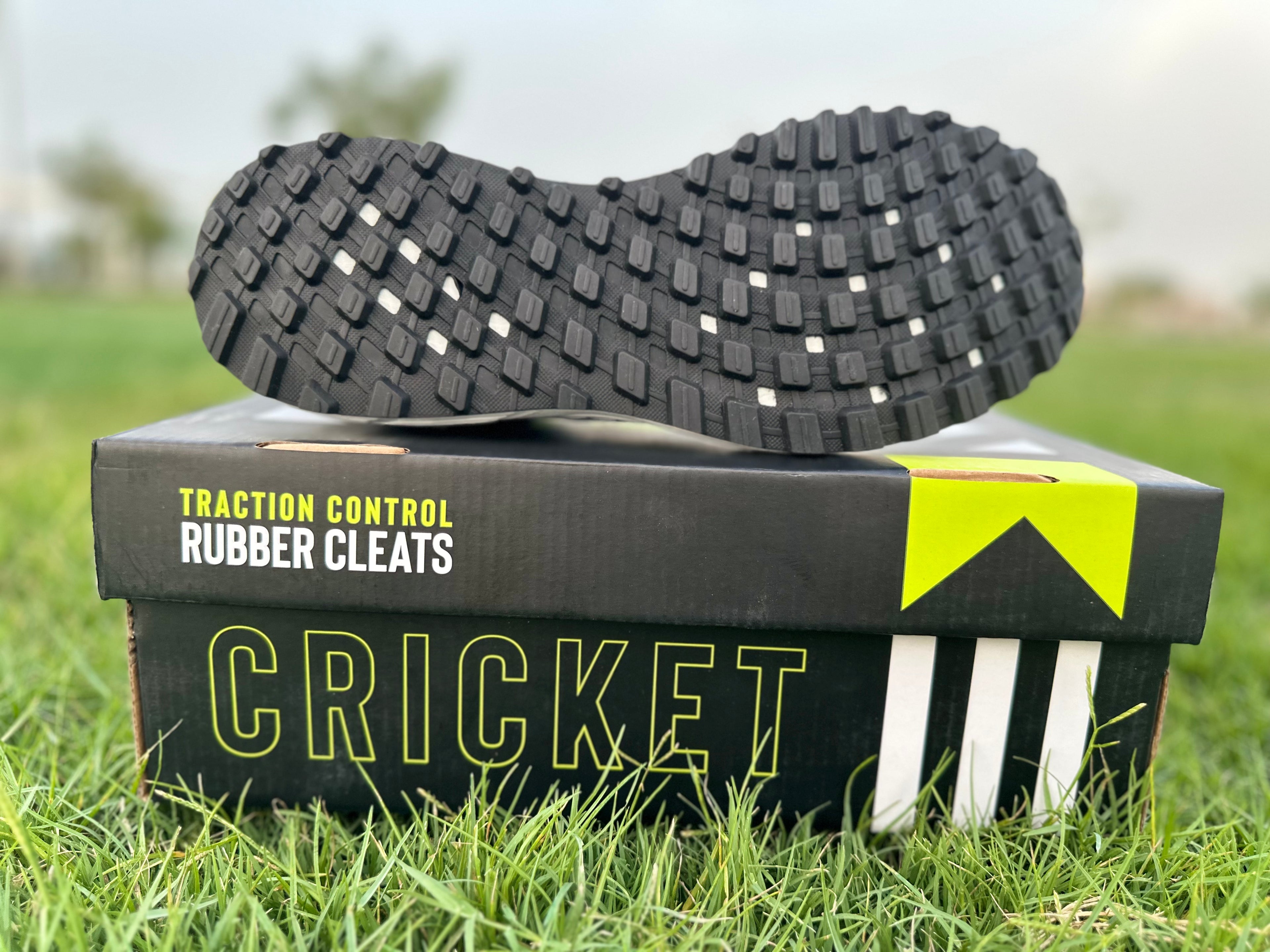 FG Don Cricket Shoes