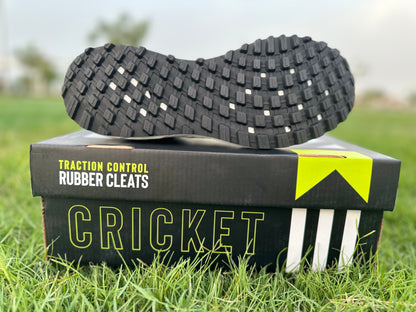 FG Don Cricket Shoes