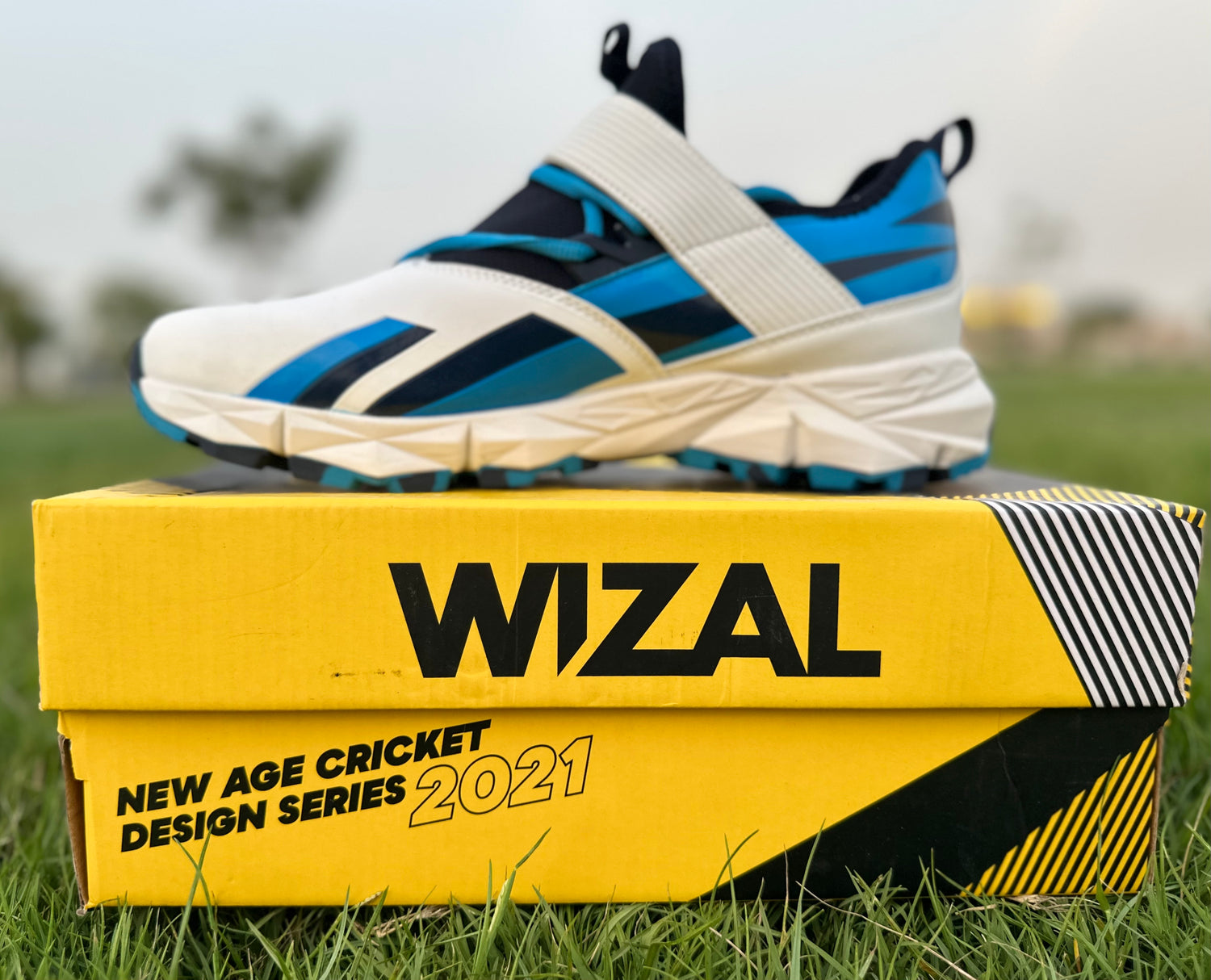 Wizal Cricket Shoes