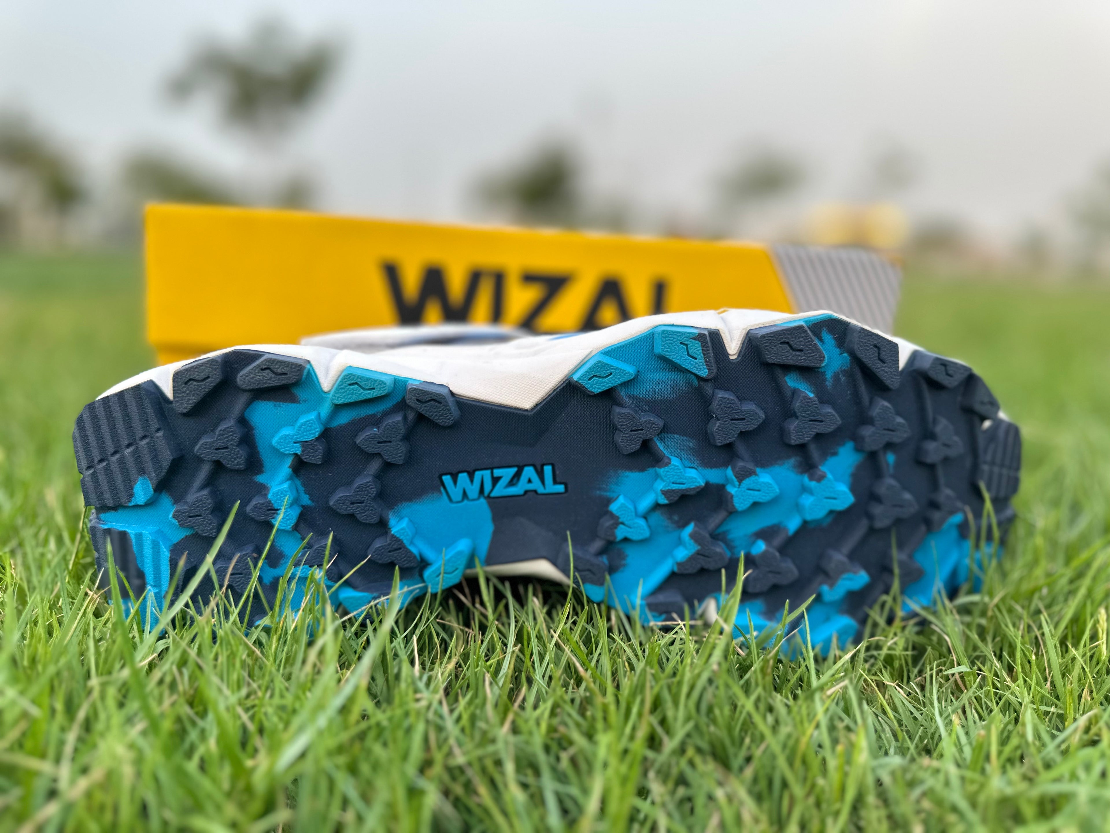 Wizal Cricket Shoes