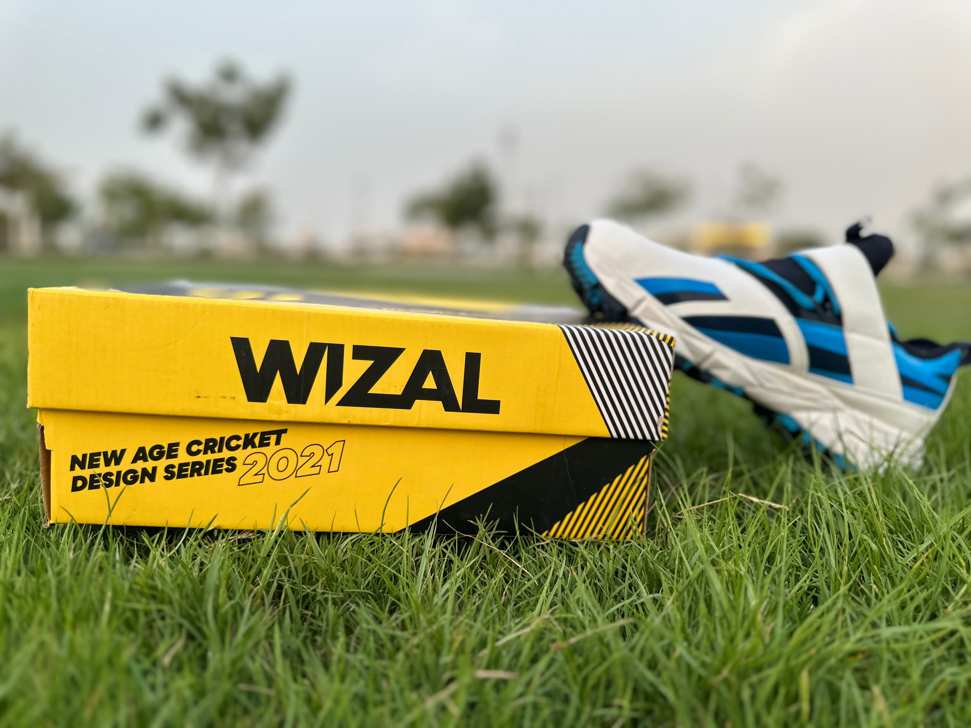 Wizal Cricket Shoes