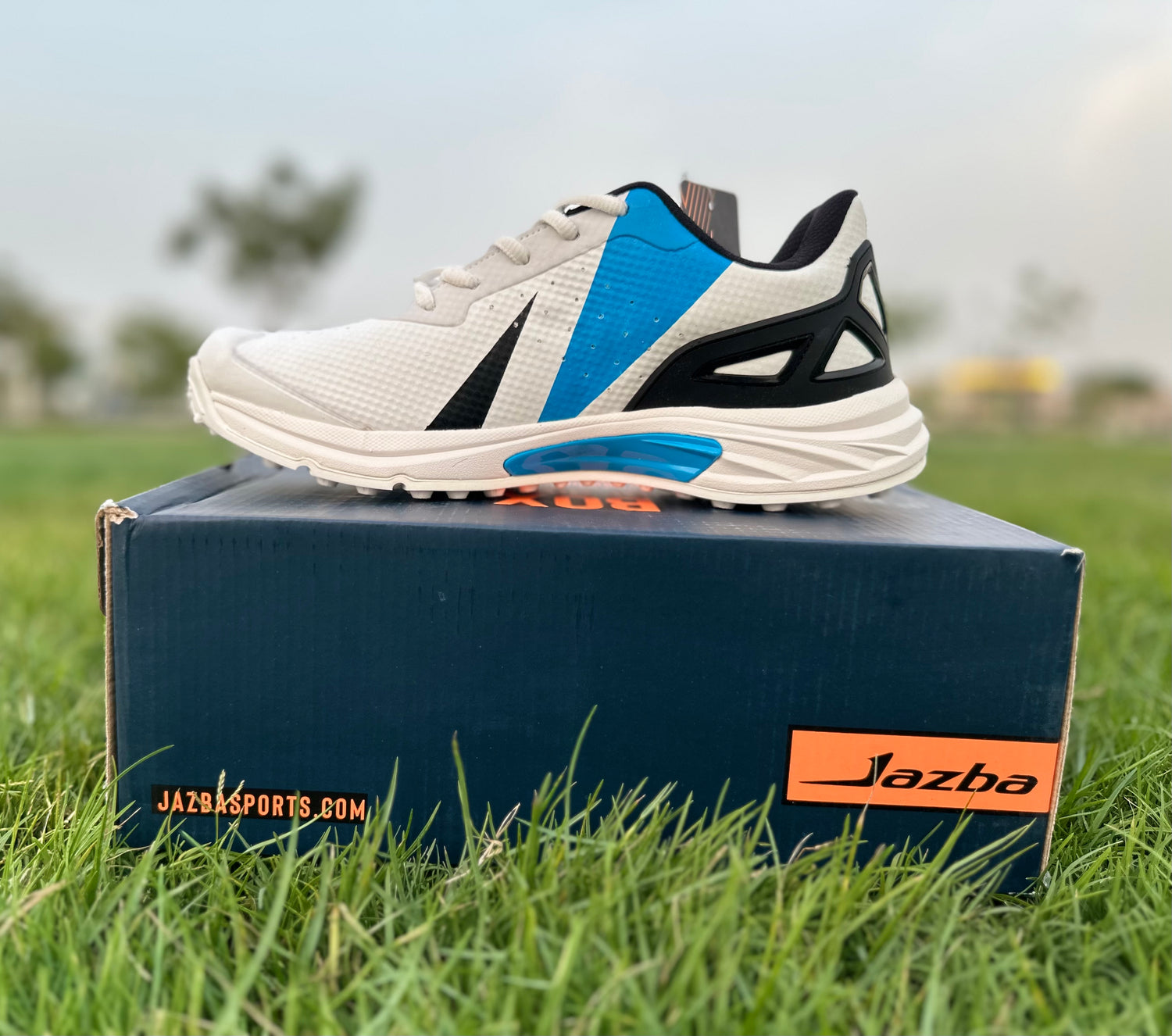 Jazba Cricket Shoes 