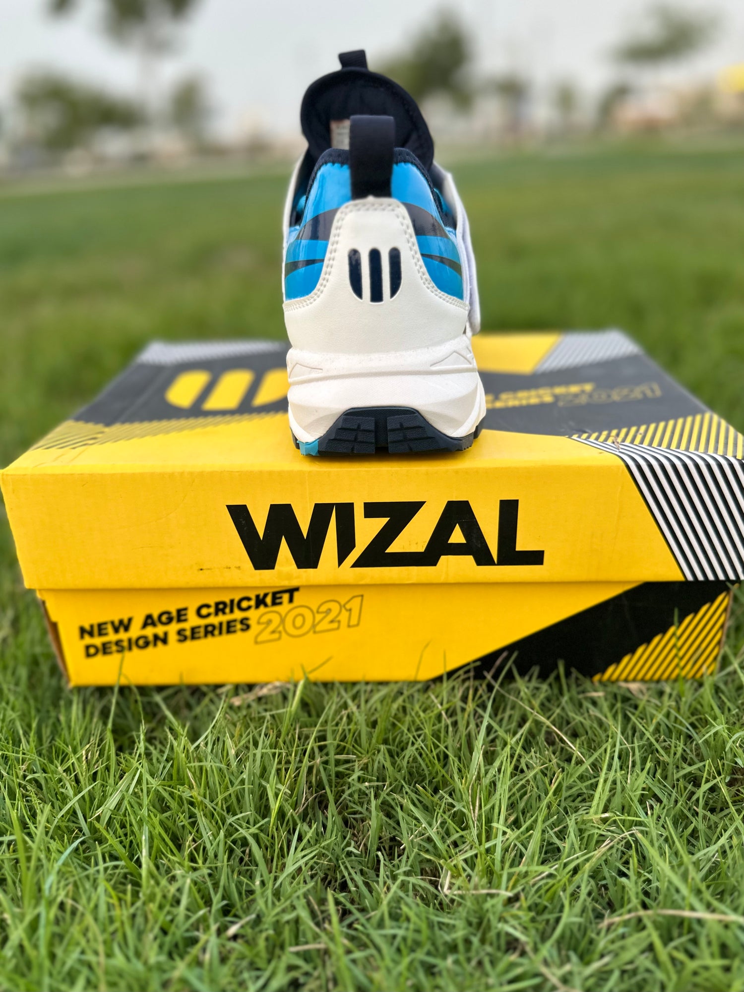 Wizal Cricket Shoes