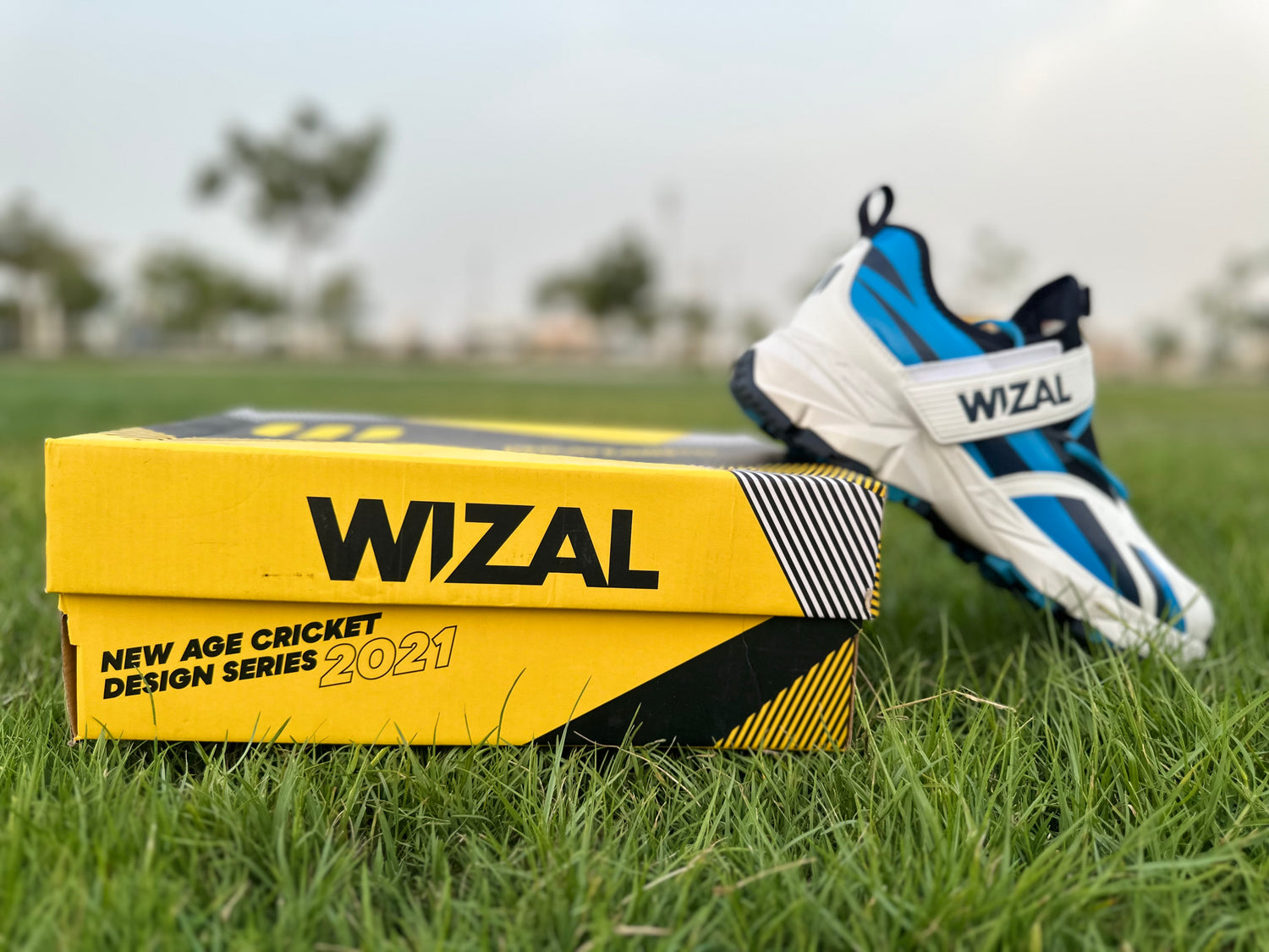 Wizal Cricket Shoes